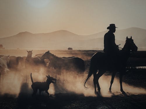 Horseman in Cowboy Hat Leading a Herd of Horses