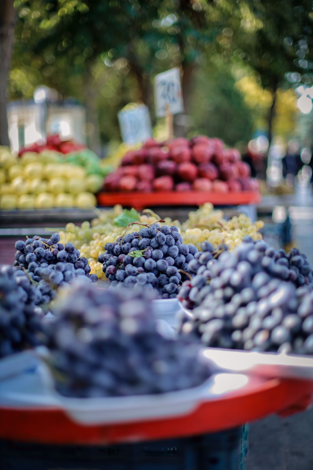 Fruit on Street Market · Free Stock Photo
