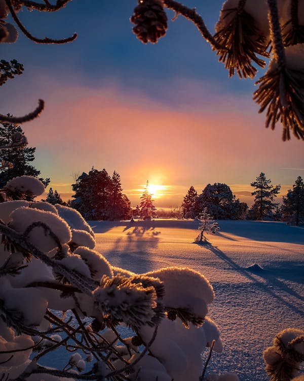 Поле, засыпанное снегом во время восхода солнца