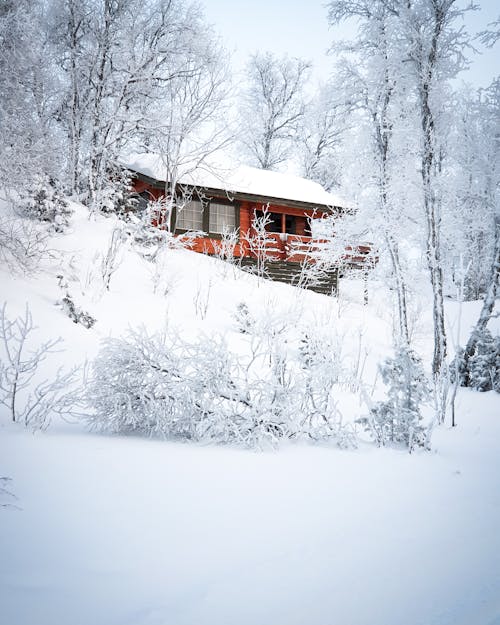 Casa Cubierta De Nieve