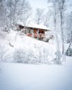 一座红色小屋坐落在白雪皑皑的宁静森林里，构成了一幅风景如画的冬日景象