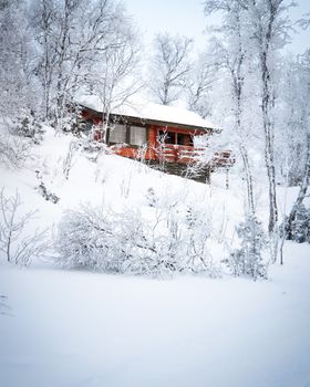 一座红色小屋坐落在白雪皑皑的宁静森林里，构成了一幅风景如画的冬日景象