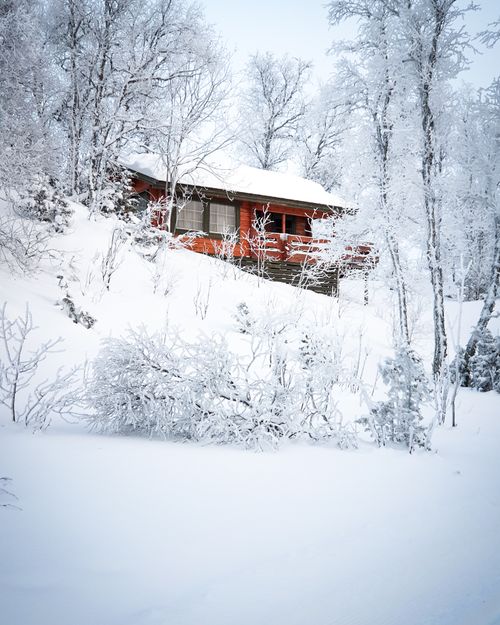 Free Red cabin nestled in a serene snowy forest, showcasing a picturesque winter scene. Stock Photo