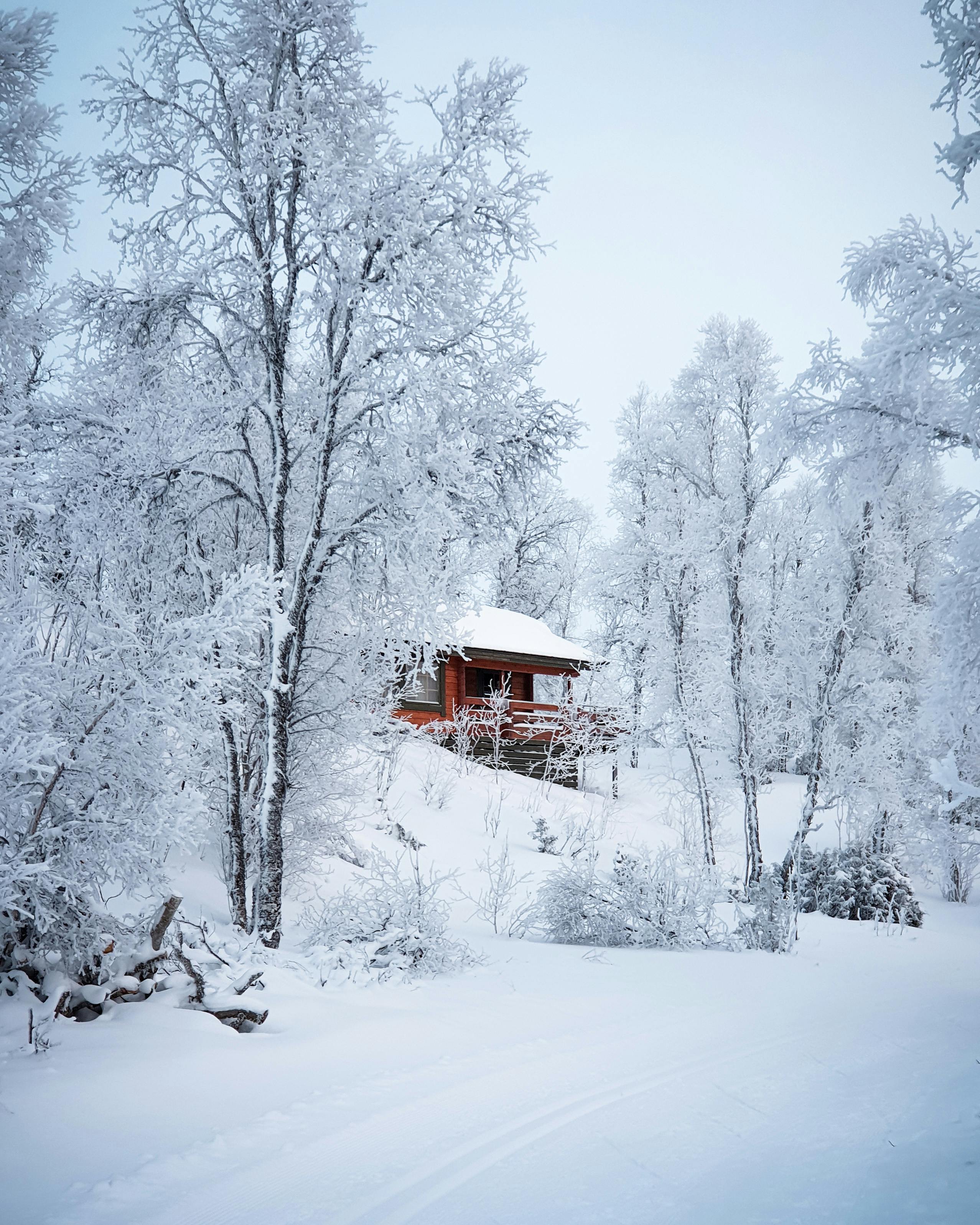 Featured image of post Hintergrundbilder Winterbilder Kostenlos Kostenlos desktopbilder hintergrundbilder 3d und bildschirmhintergruende