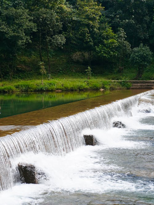 Ảnh lưu trữ miễn phí về âm thanh thác nước, bờ sông, cảnh rừng