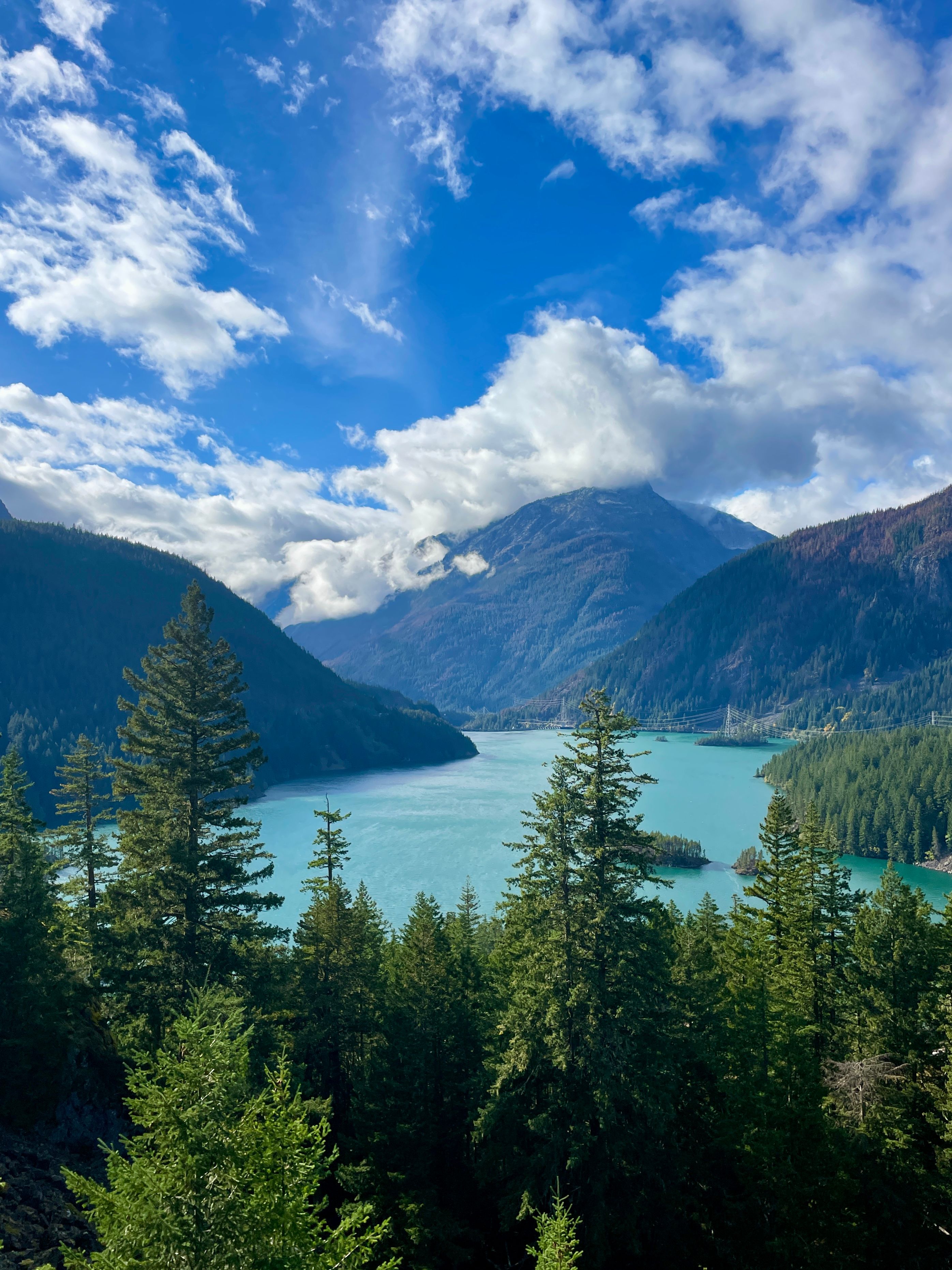 Scenic Landscape with a Mountain Lake behind an Evergreen Forest · Free ...