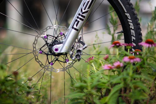 Fork and Rims of Bicycle