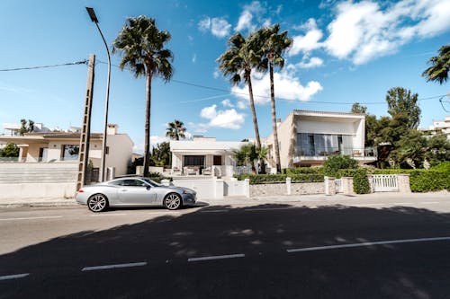 Palm Trees near Houses in Town