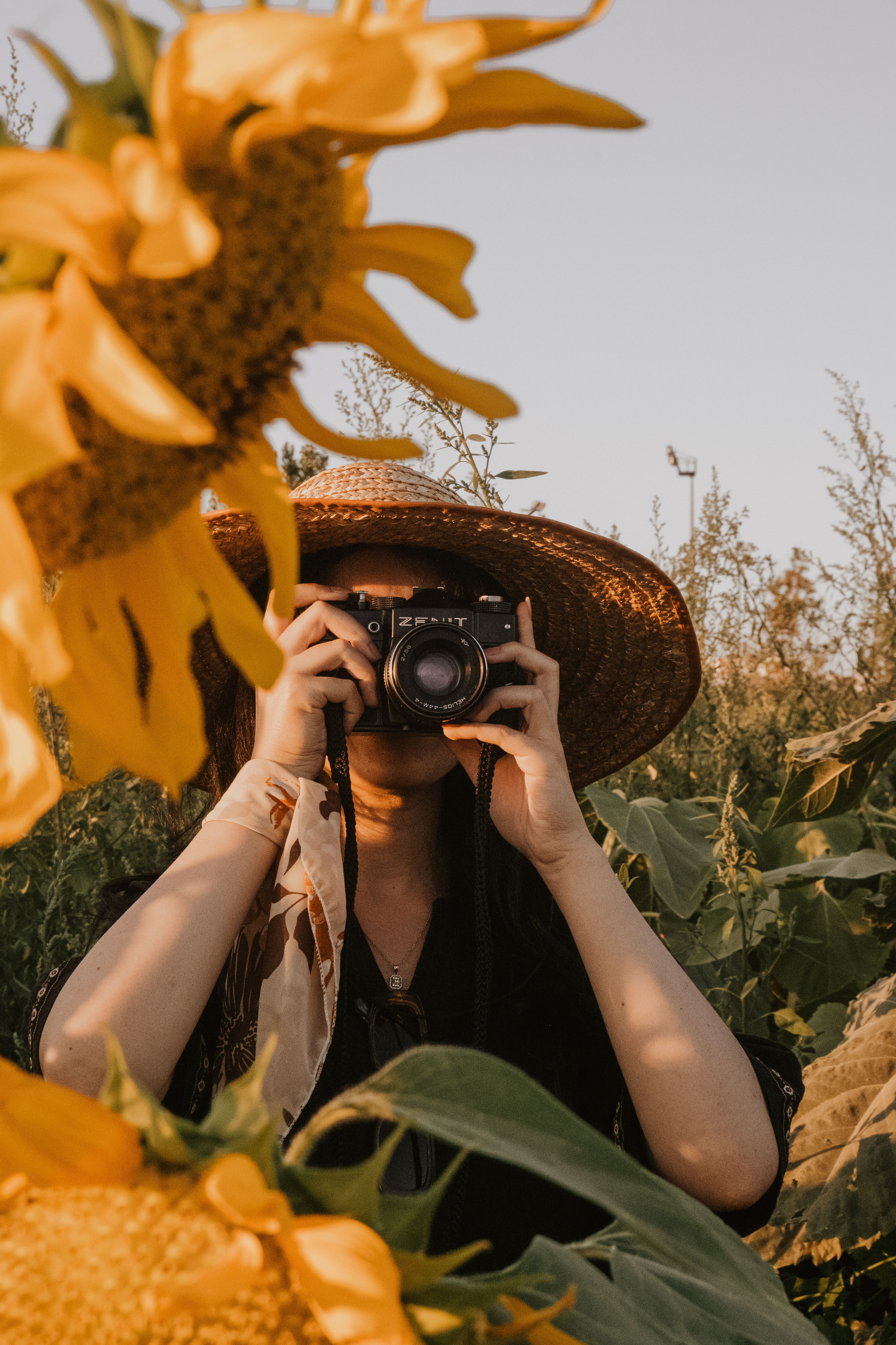 Woman takes photos in a vibrant sunflower field during summer.