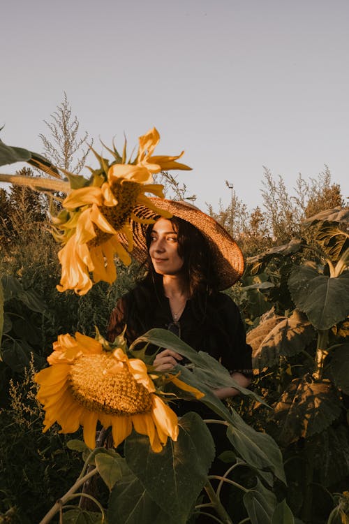 Immagine gratuita di abbondanza, campo, cappello