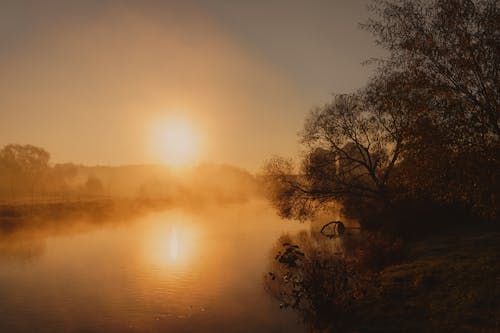 Fotos de stock gratuitas de amanecer, arboles, escénico