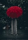 Person Standing Using Red Umbrella