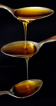 Golden Syrup (Tate & Lyle)