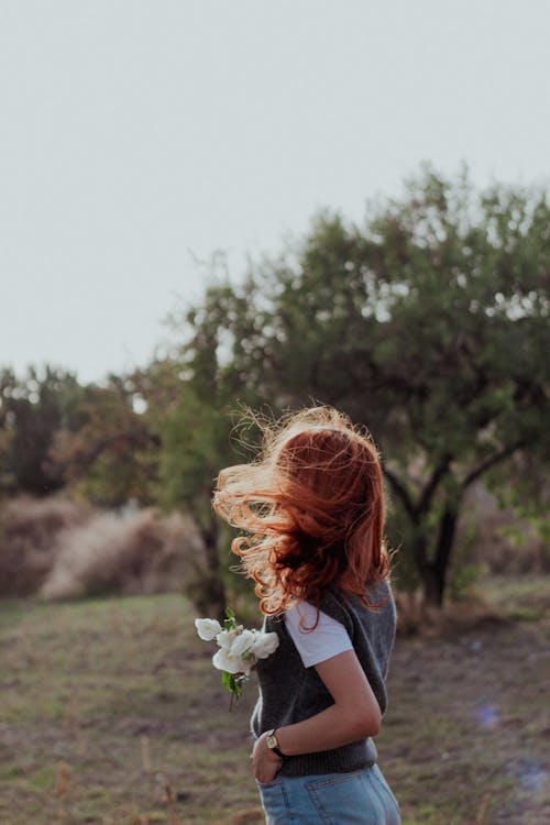 Gratis stockfoto met achteraanzicht, bloemen, boom