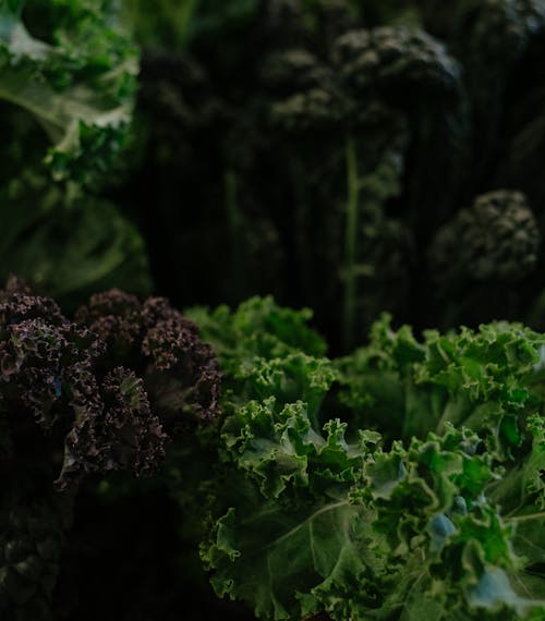 Close Up of Kale
