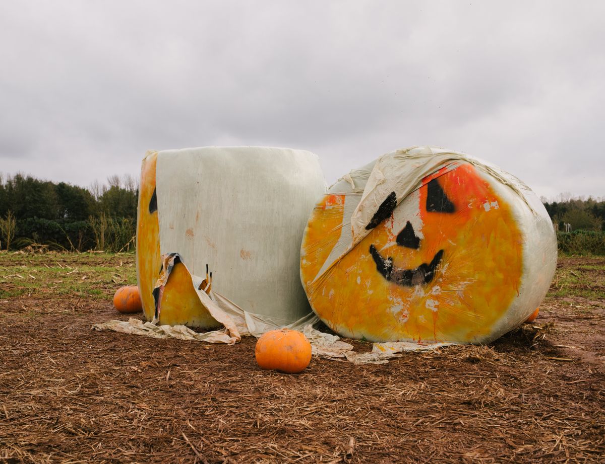 Painted pumpkins sitting on hay bales in a field at fall