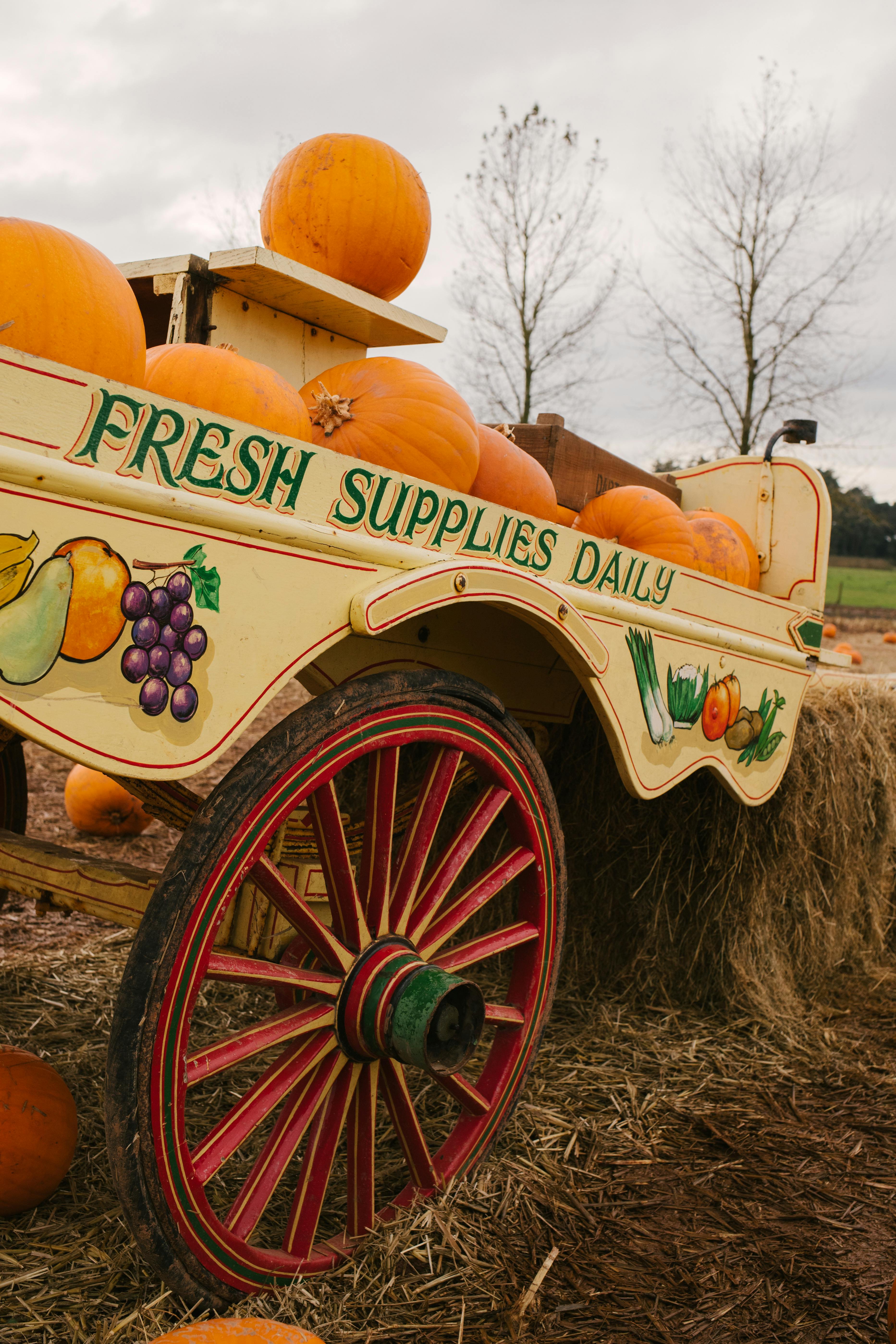 A vintage cart filled with pumpkins, symbolizing autumn harvest season.