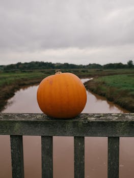 Pumpkin on a wooden railing beside a muddy river under cloudy skies in rural setting.