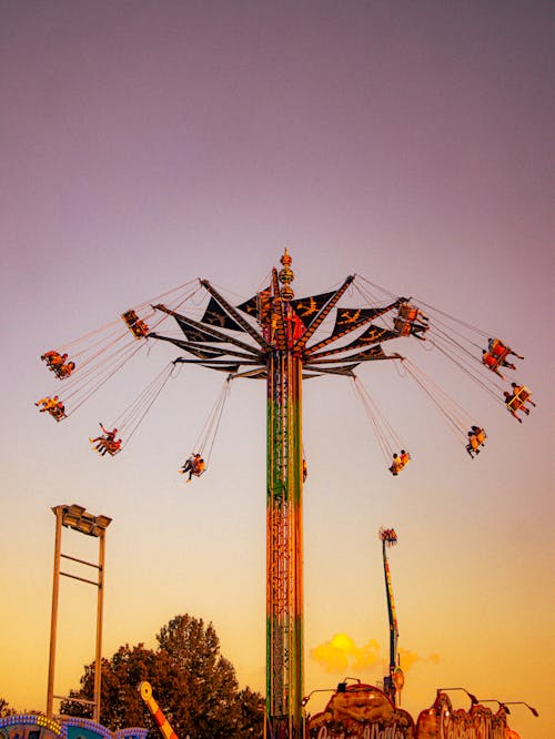 Carousel in Amusement Park