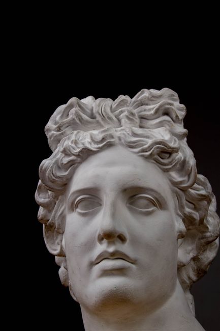 Detailed white stone bust of a classical figure against a black background, showcasing intricate carving.