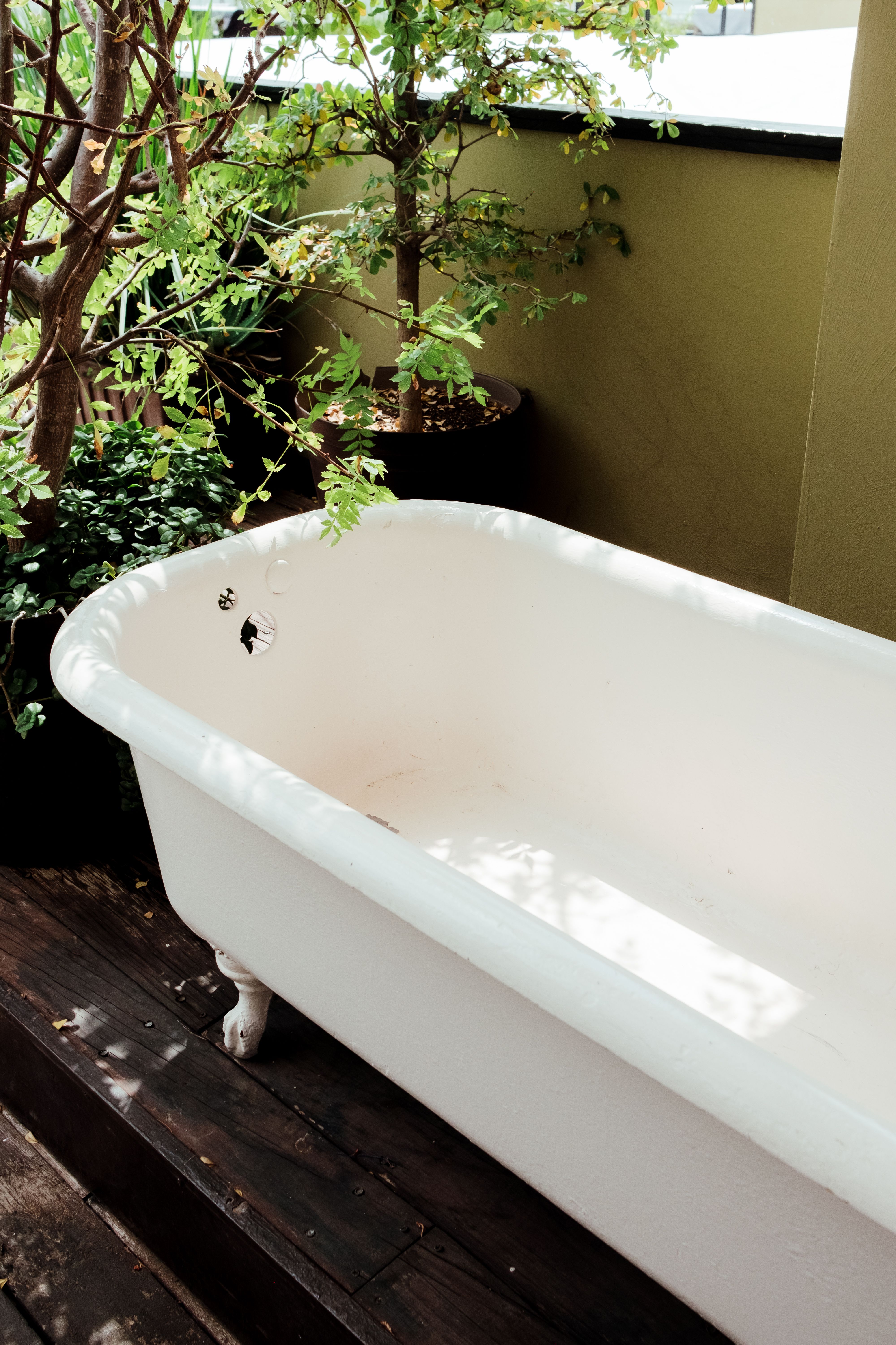 Vintage white bathtub in a cozy garden setup with lush potted plants and wooden floor.