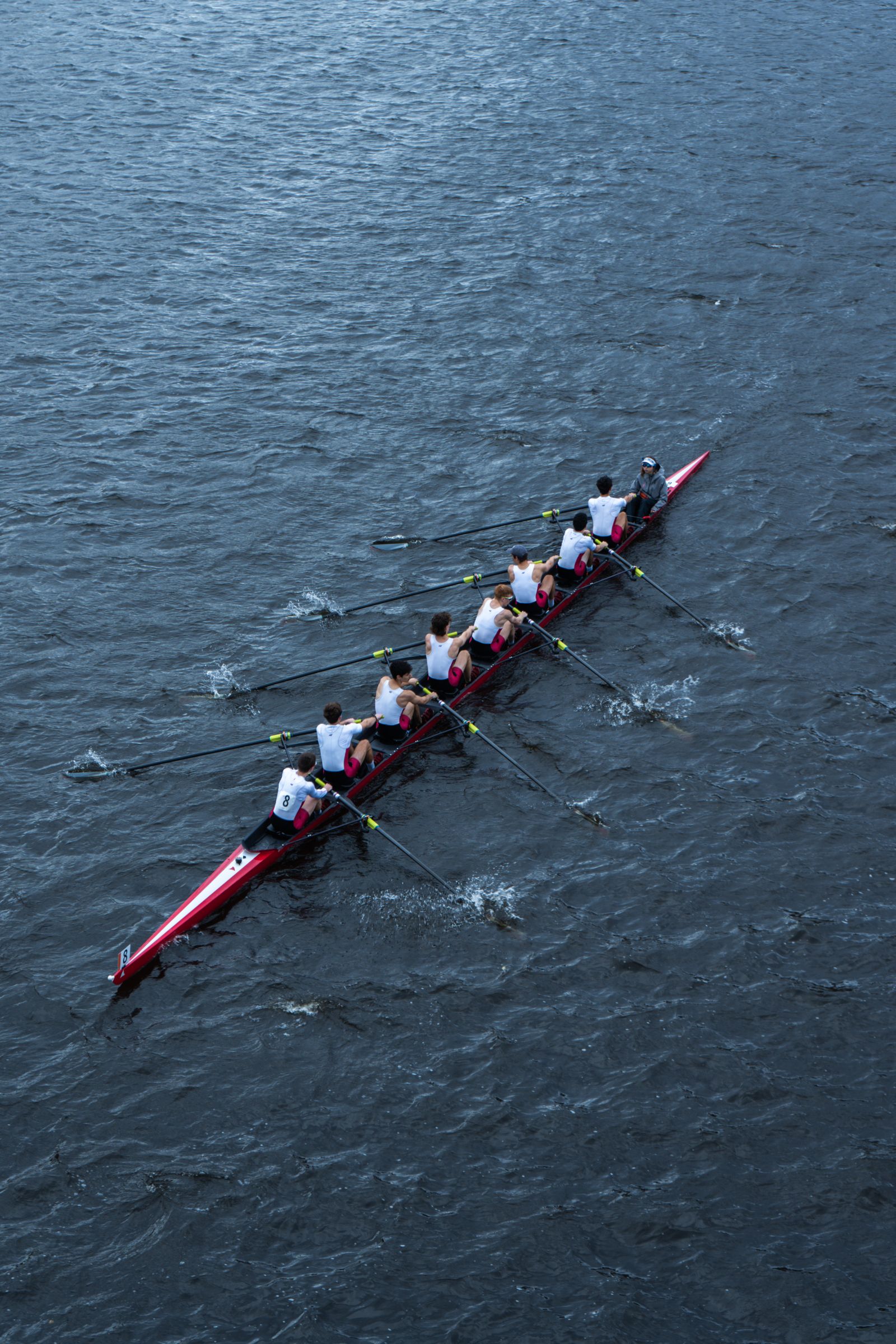 Humans Rowing High Angle Shot Of People Rowing Boat · Free Stock Photo