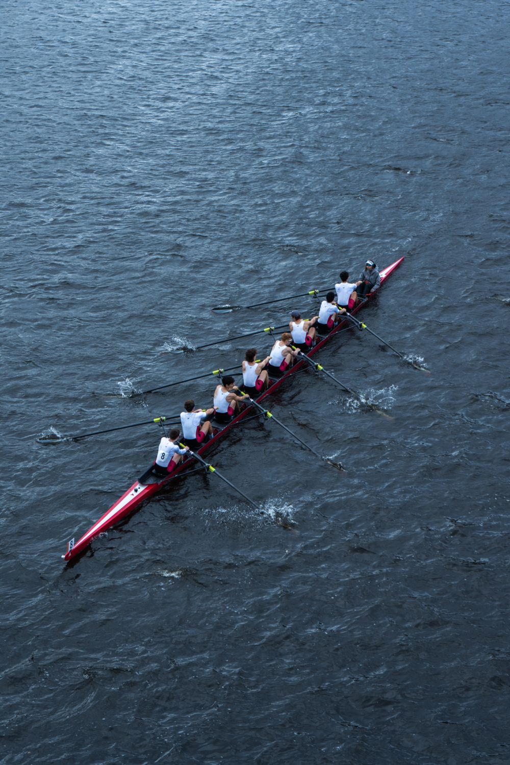 Man Rowing A Full Stack Men Rowing on Lake · Free Stock Photo