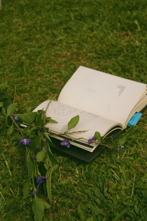 Foto d'estoc gratuïta de flors, herba, llibre