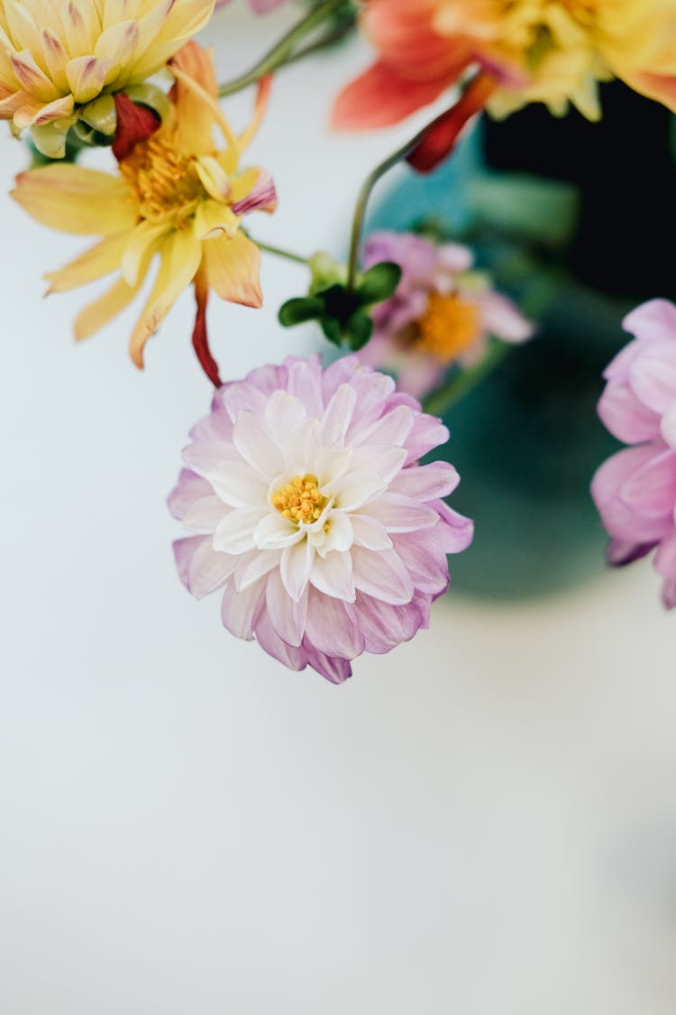 Purple And Yellow Flowers