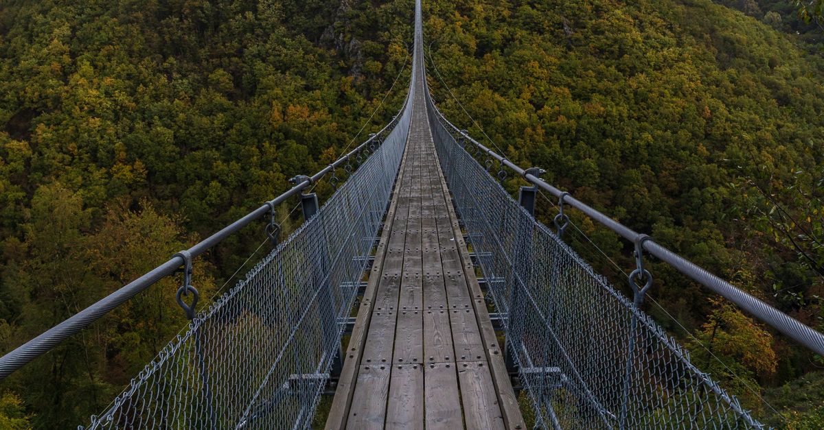 Sosberg Geierlay Suspension Bridge in Sosberg, Germany · Free Stock Photo