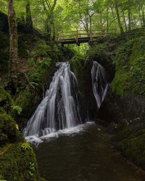 Foto profissional grátis de cachoeira, corrente, floresta