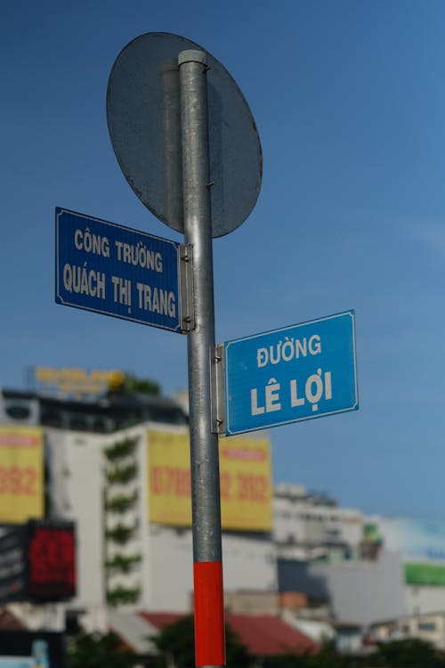 Close-up of a Road Sign on the Street in City 