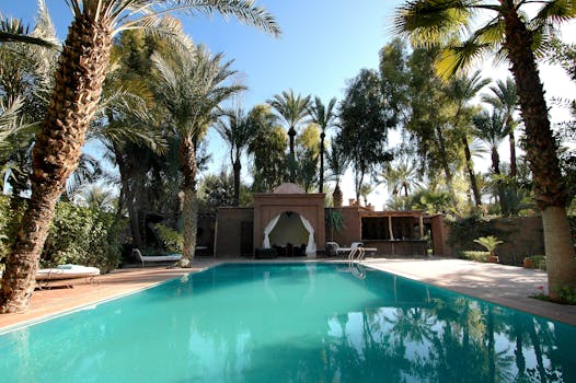 A stunning tropical resort pool surrounded by lush palms, perfect for a summer vacation.