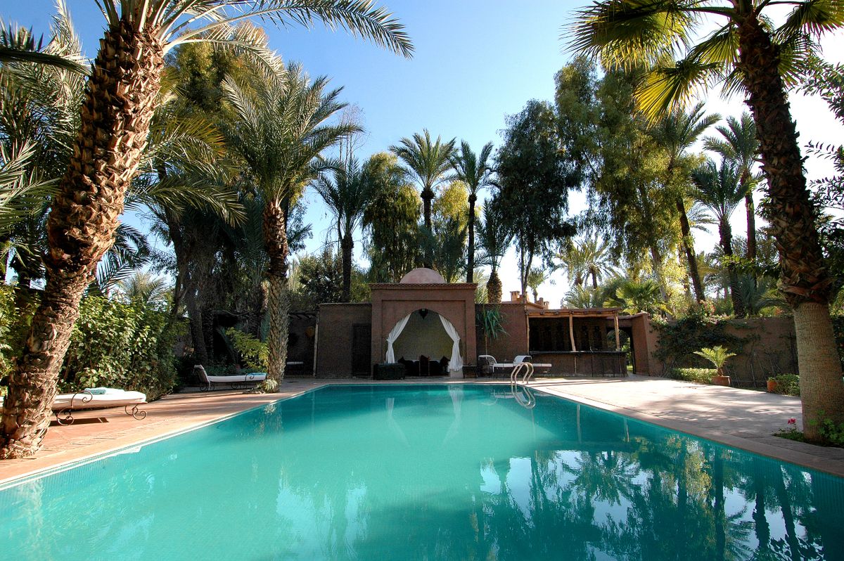 Outdoor pool framed by palms, photo by Moussa Idrissi on Pexels