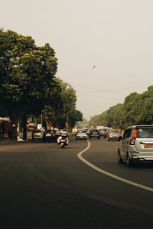 Free Cars and motorcycles traverse a busy tree-lined urban street under a clear sky. Stock Photo