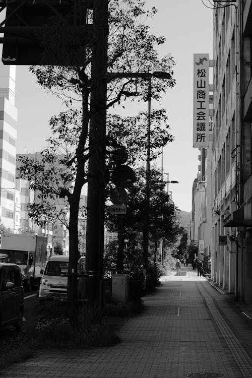 Trees Growing along Sidewalk in City