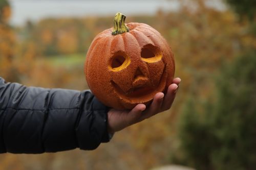 Free A hand holding a carved jack-o'-lantern with an autumn background in Jönköping, Sweden. Stock Photo