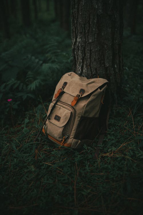 Beige Backpack Standing by a Tree