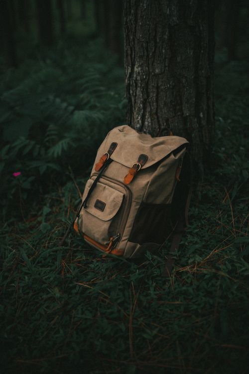 Free Beige backpack resting against a tree in a dark, wooded forest area. Stock Photo
