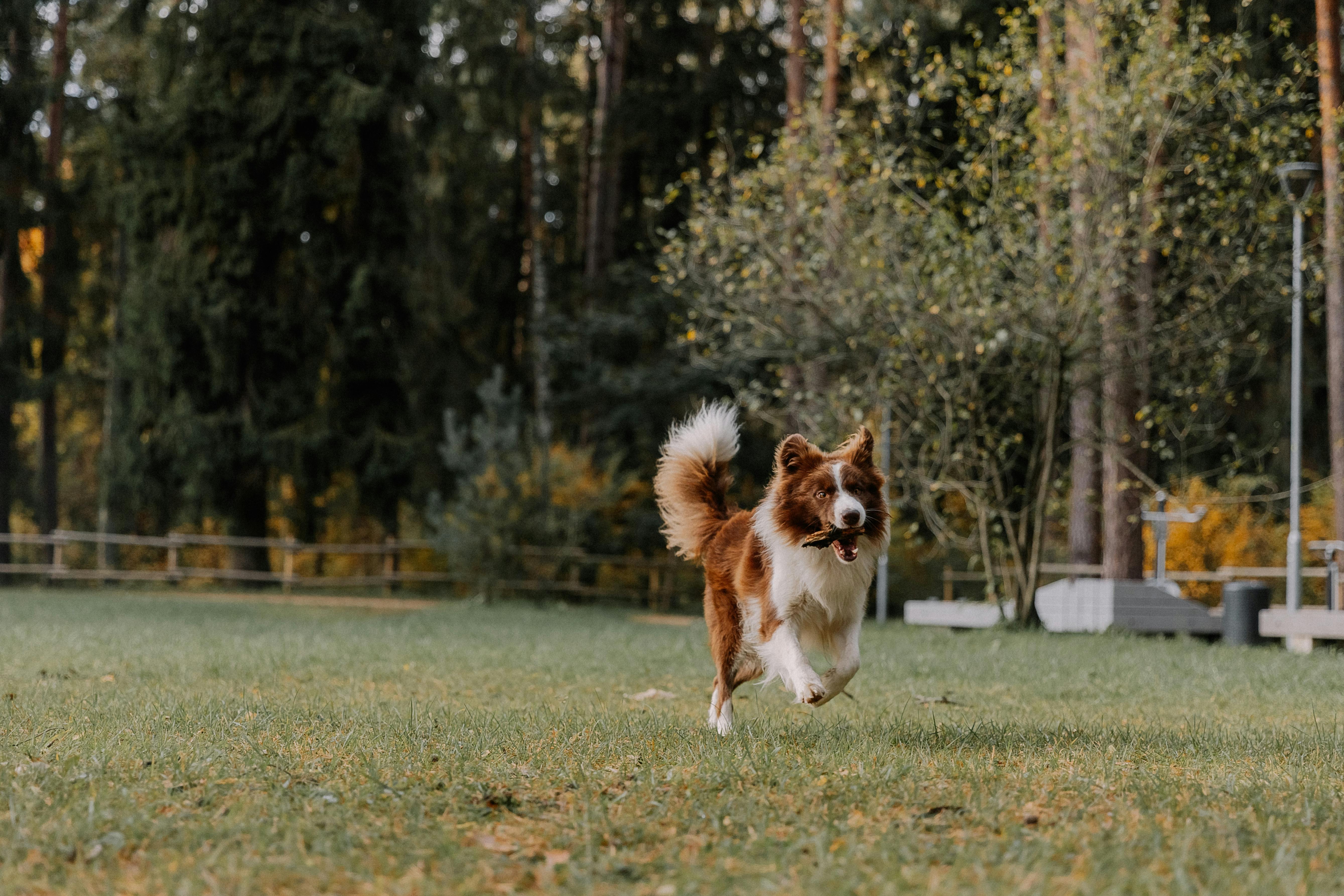 Improving Your Running Technique with Daily Drills