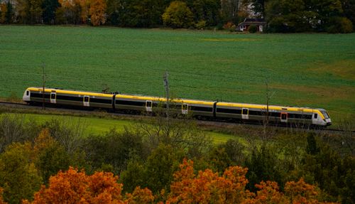 Free Electric train passing through a lush fall landscape with vibrant autumn foliage in Sweden. Stock Photo