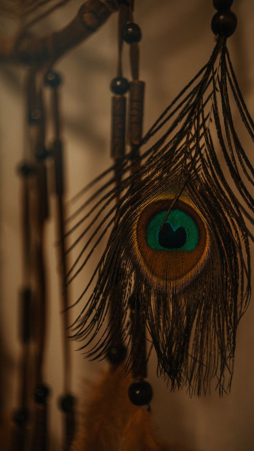 Free Detailed view of a handcrafted dreamcatcher featuring a vibrant peacock feather. Stock Photo