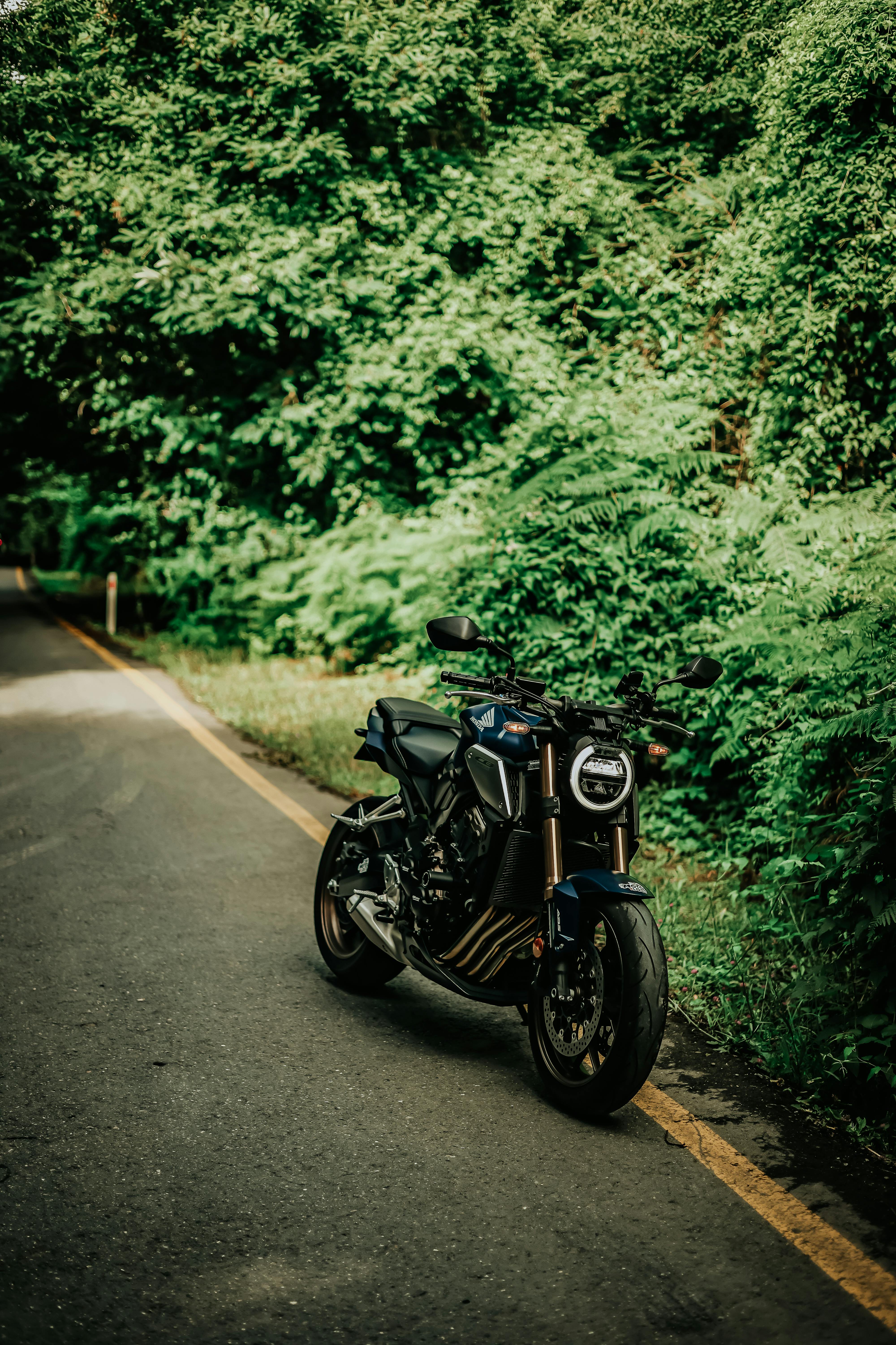 A motorcycle parked on a forest roadside with lush greenery under bright daylight, showcasing outdoor adventure.