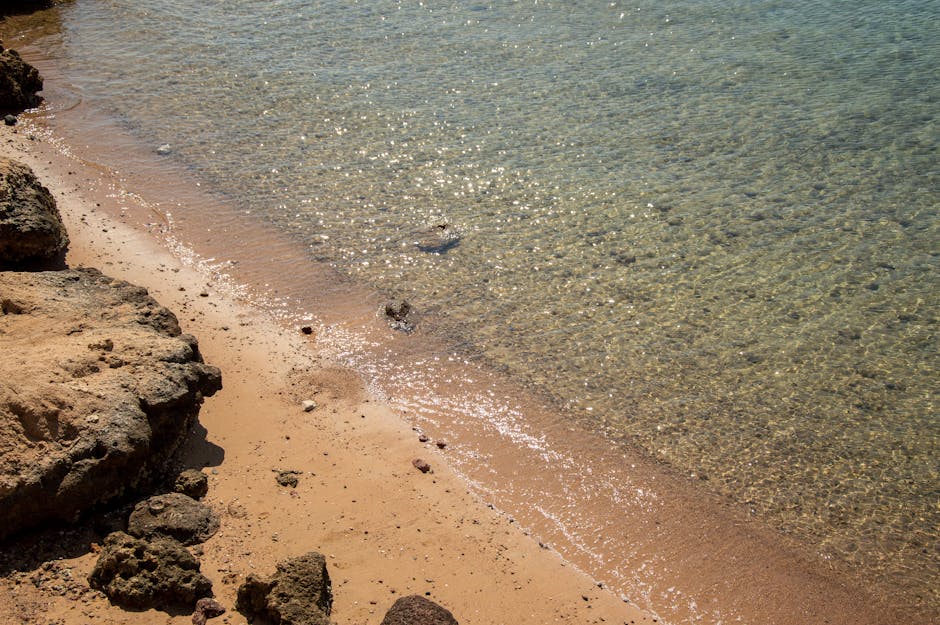 Eco-Friendly Travel Destinations