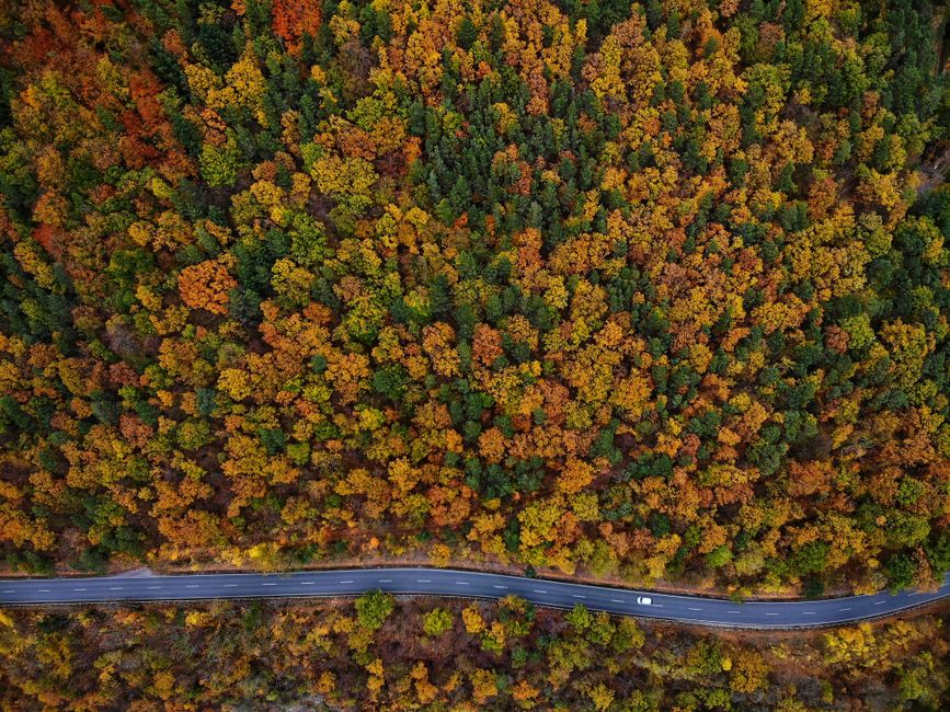 Drone view of vibrant autumn foliage and a winding road in Saalfeld/Saale, Germany.