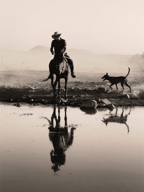 Cowboy on Horse by River