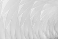 Ceiling in Modern Interior