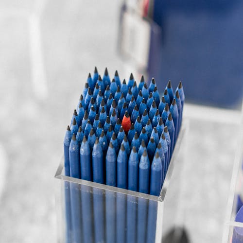 Box of Blue Pencils with a Standing Out Single Red Pencil in the Middle