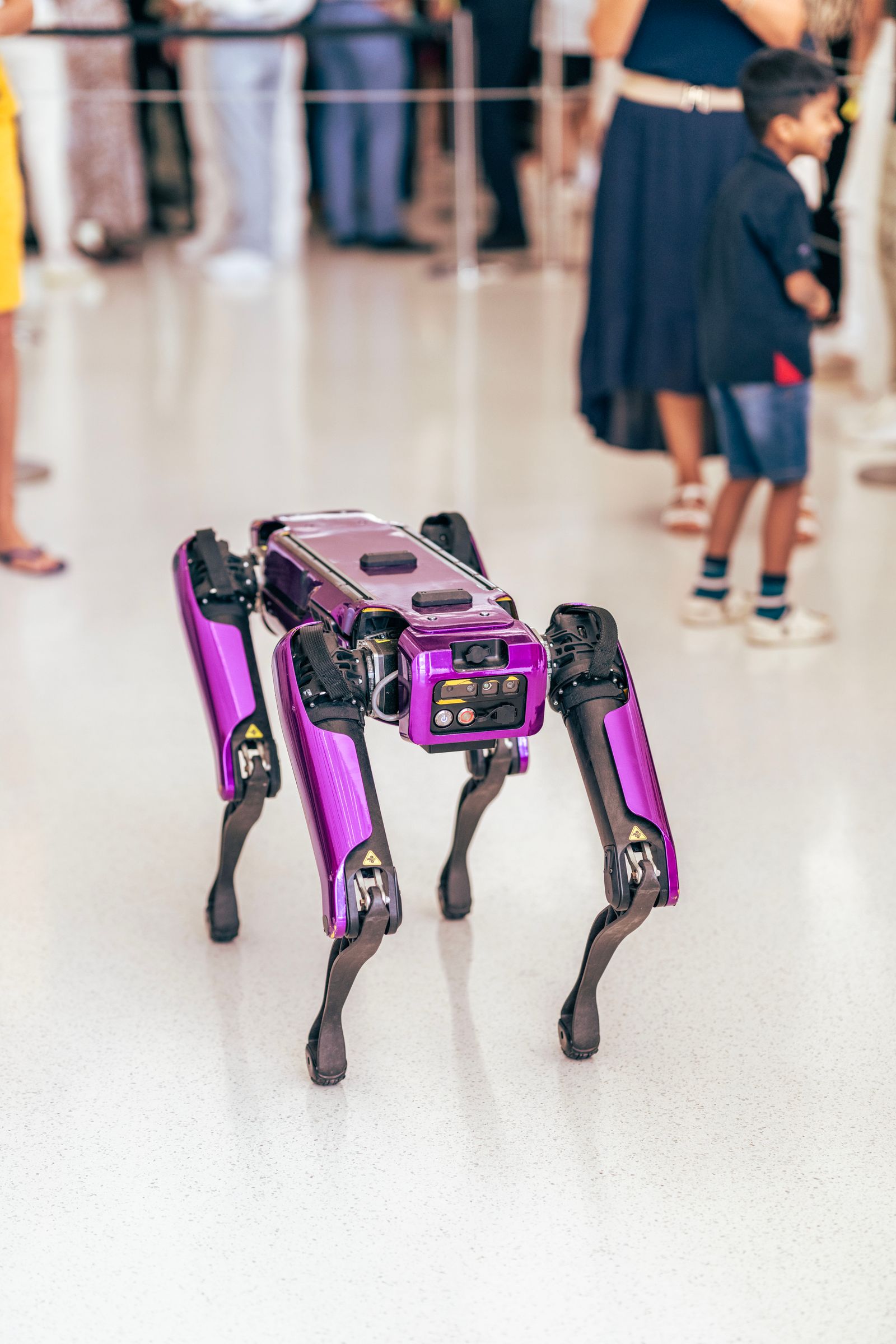 Robot dog walking a corridor with its handler