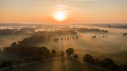 Foto stok gratis bidang, kabut, matahari